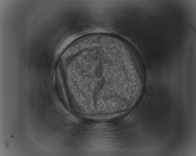 X0000103241367200809251317