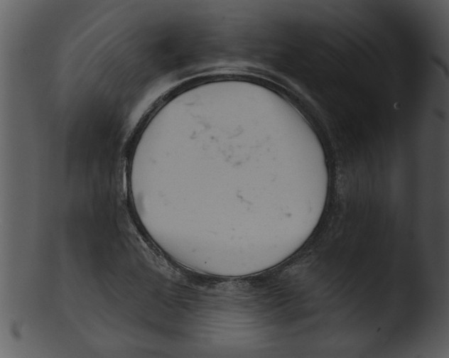 X0000103241368200809251317