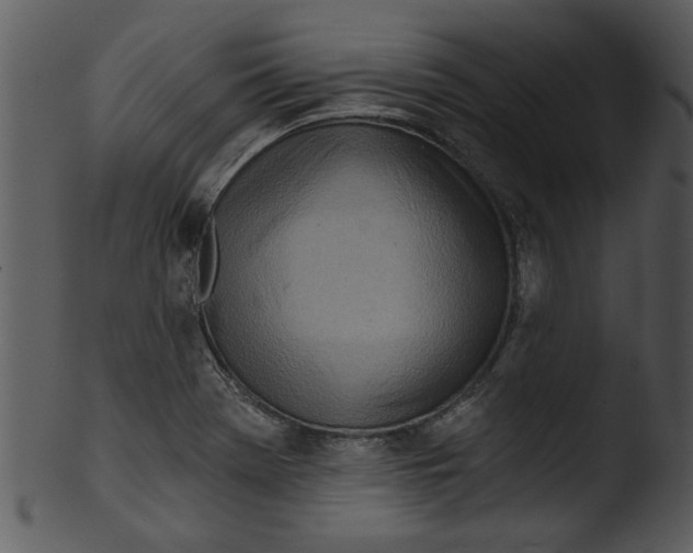 X0000103241369200809251317