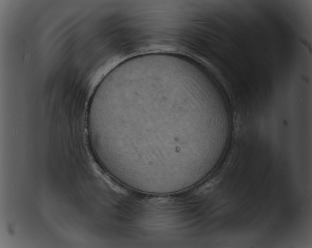 X0000103241373200809251317