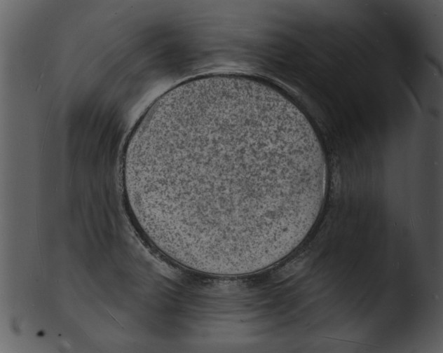 X0000103241375200809251317