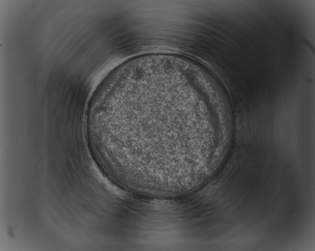 X0000103241379200809251317