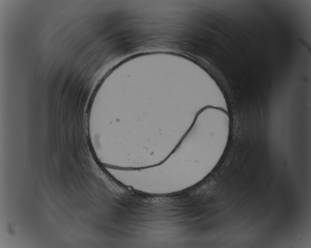 X0000103241380200809251317