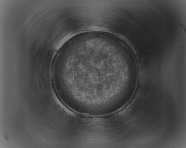 X0000103241381200809251317