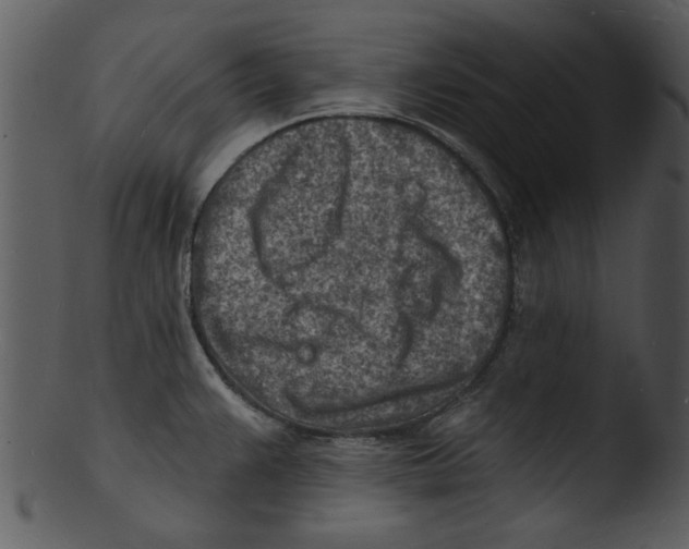 X0000103241383200809251317