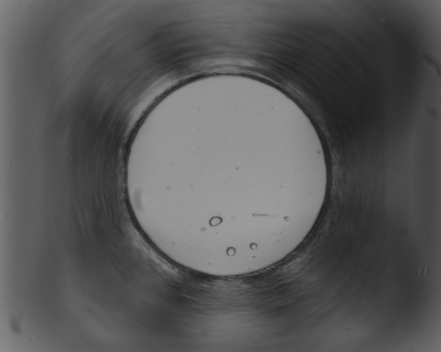 X0000103241384200809251317