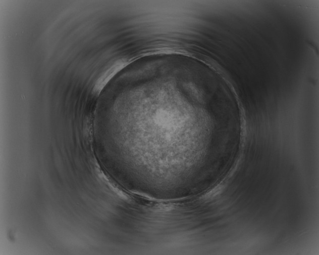 X0000103241385200809251317