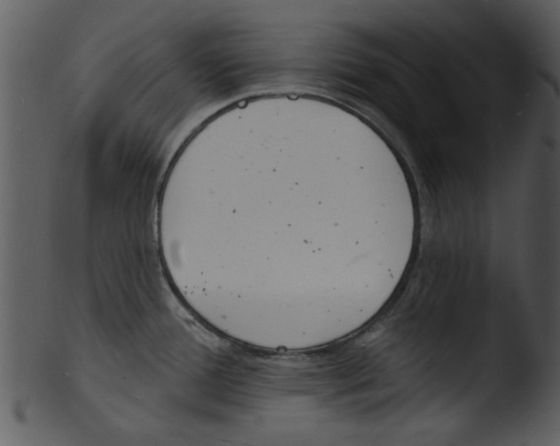 X0000103241388200809251317