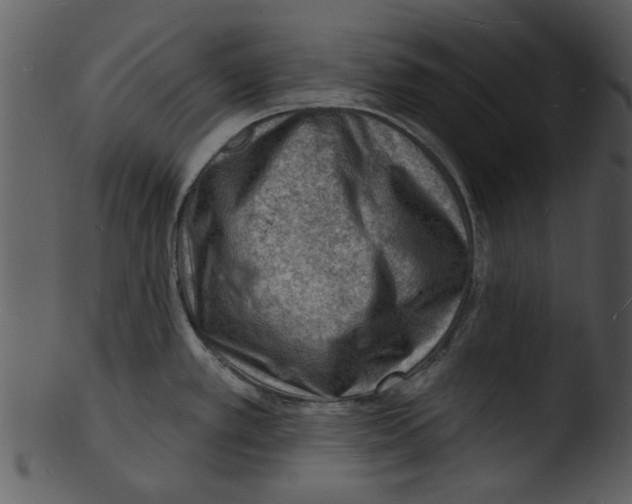 X0000103241389200809251317