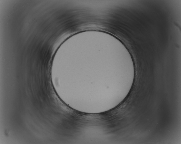 X0000103241392200809251317