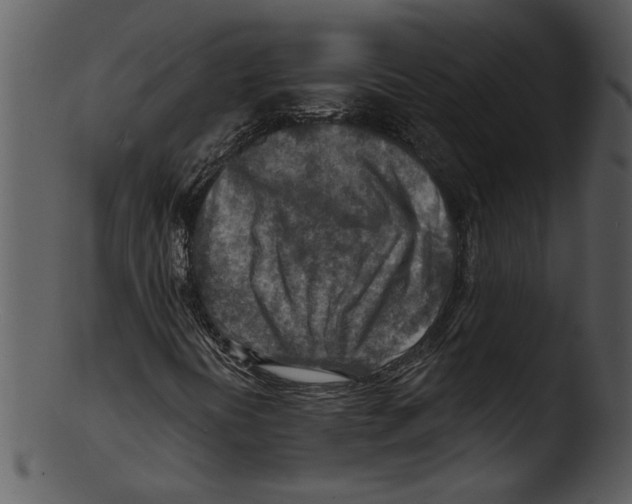 X0000103241394200809251316