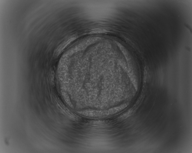 X0000103241401200809251316