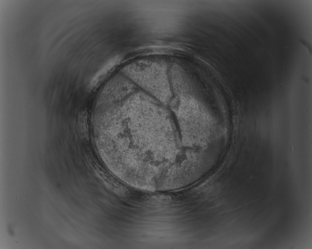 X0000103241403200809251316