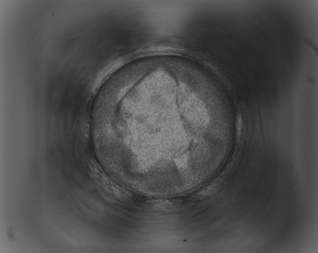 X0000103241405200809251316