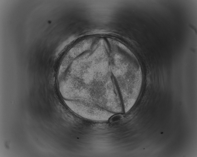 X0000103241406200809251317