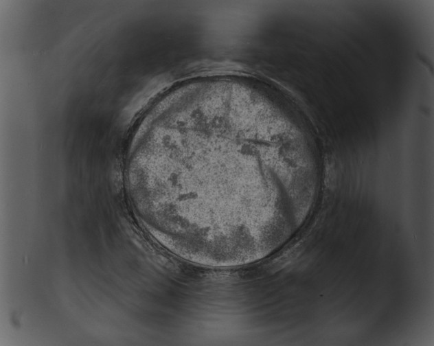 X0000103241407200809251317