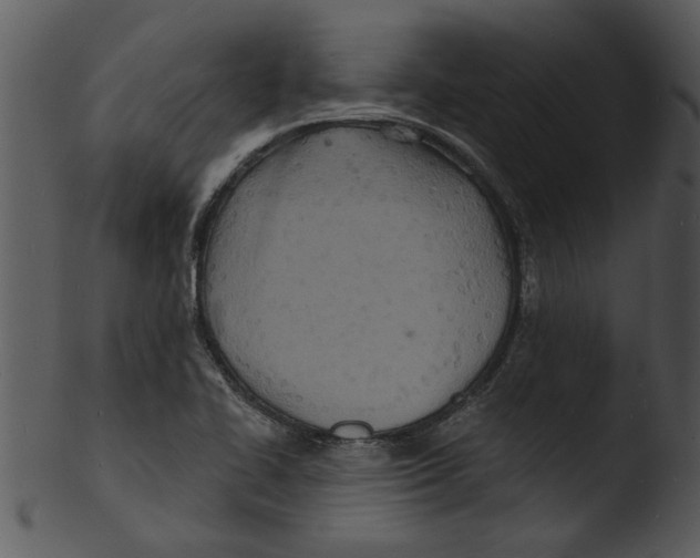 X0000103241414200809251317