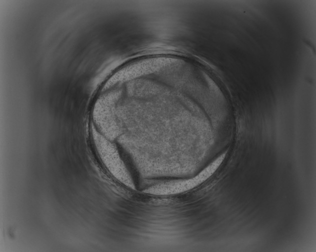 X0000103241415200809251317