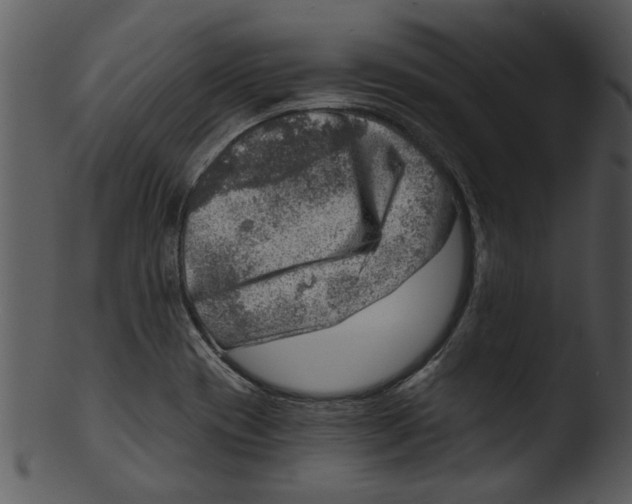 X0000103241417200809251317