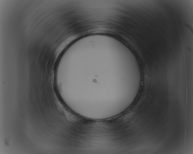 X0000103241418200809251317