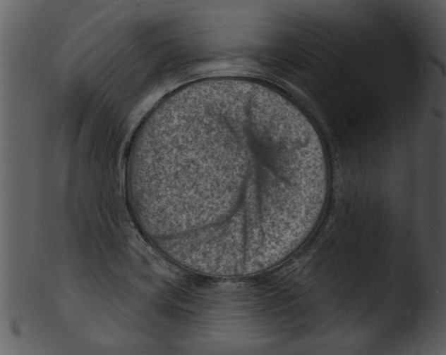 X0000103241419200809251317