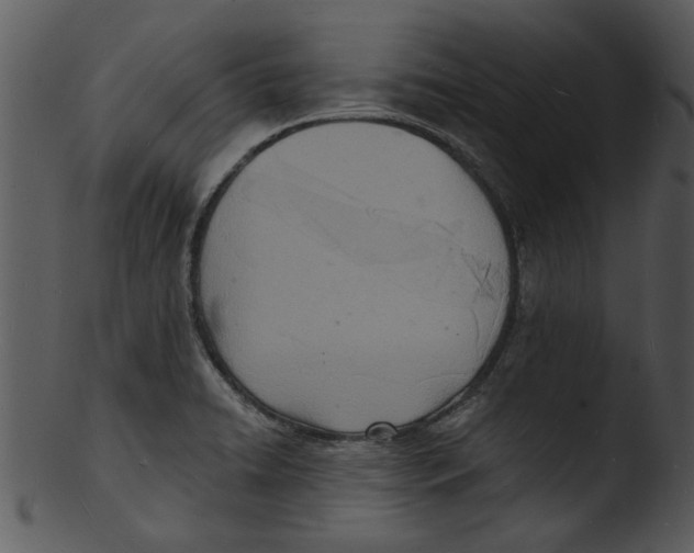 X0000103241422200809251317