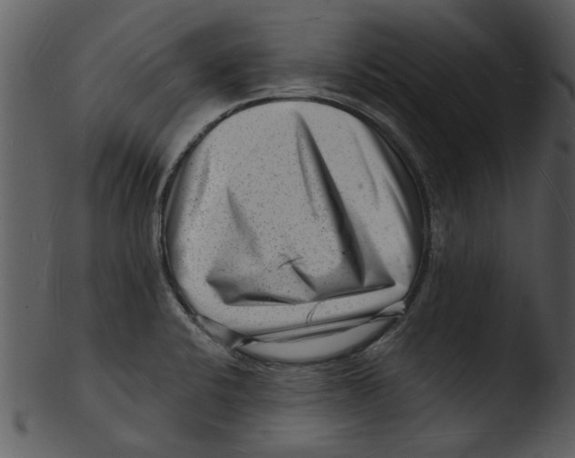 X0000103241424200809251317