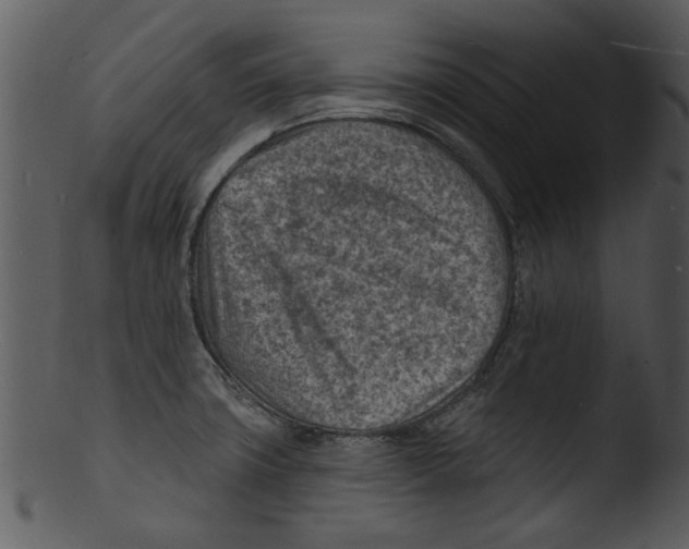 X0000103241427200809251317