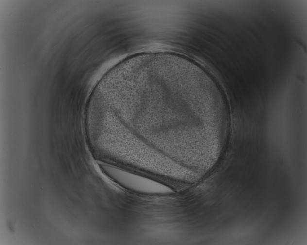 X0000103241429200809251317