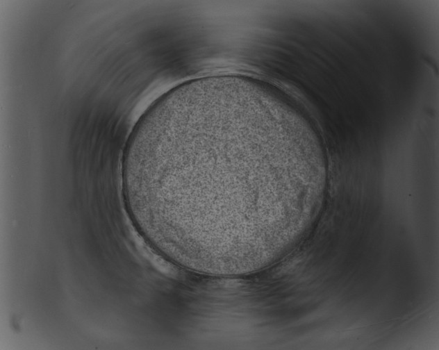 X0000103241431200809251317