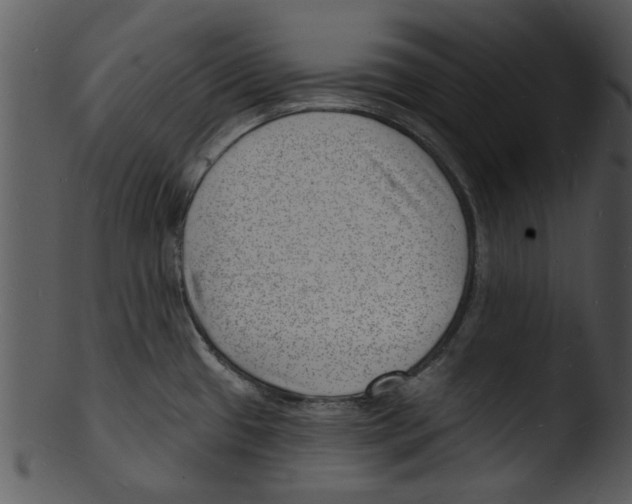 X0000103241433200809251317