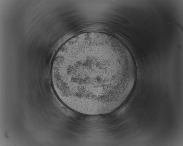 X0000103241434200809251317