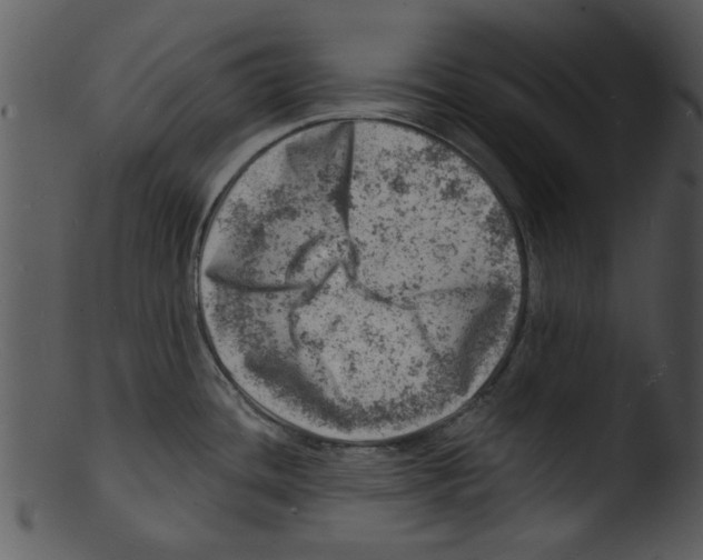 X0000103241436200809251317