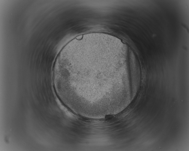 X0000103241439200809251317