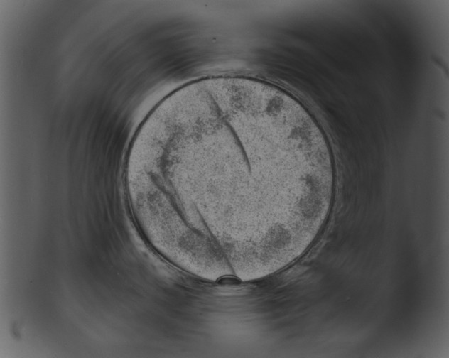 X0000103241440200809251317