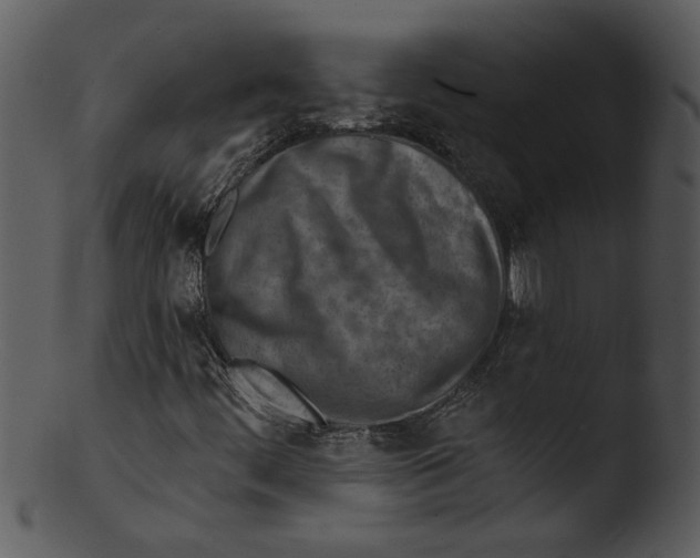 X0000103241444200809251316