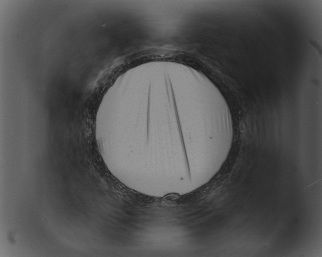 X0000103241447200809251316