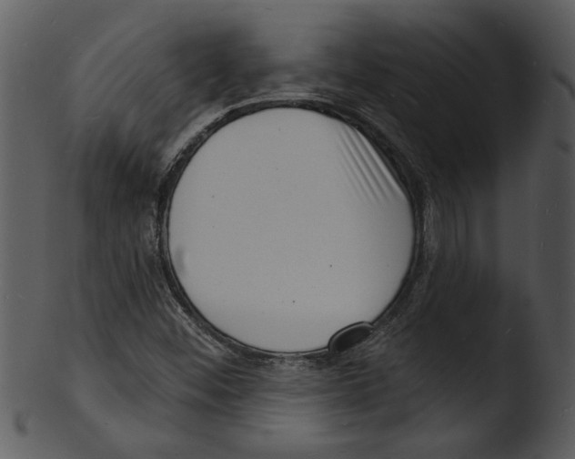 X0000103241452200809251316