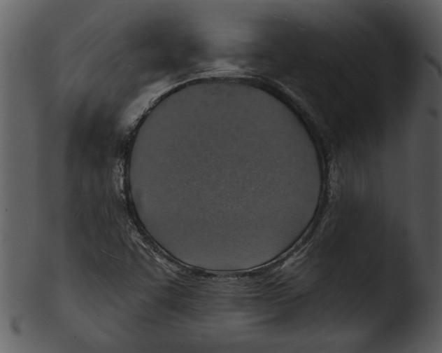 X0000103241455200809251316