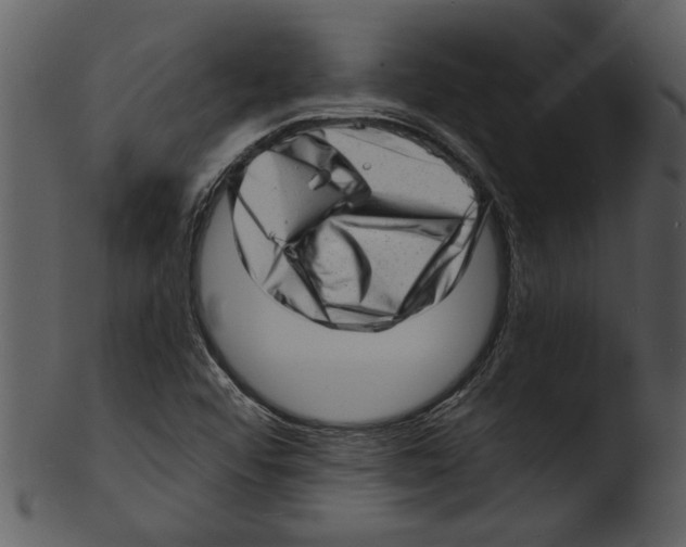 X0000103241456200809251316