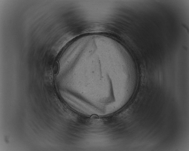 X0000103241457200809251316