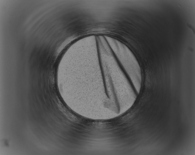 X0000103241458200809251316