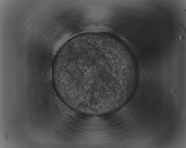 X0000103241459200809251316