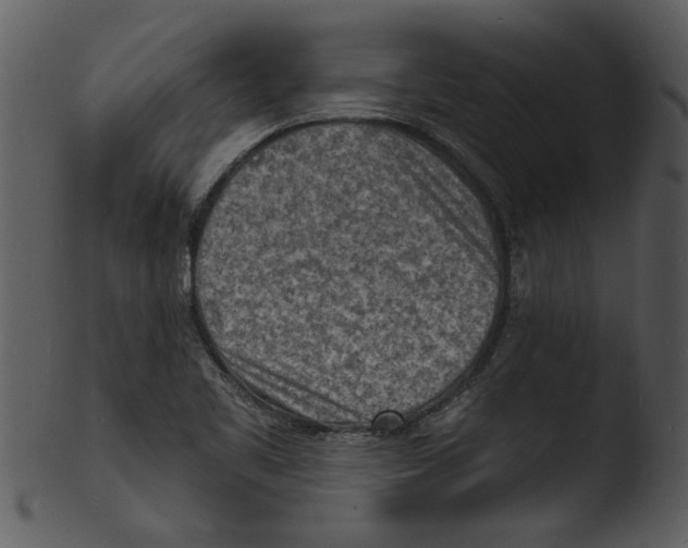 X0000103241461200809251316