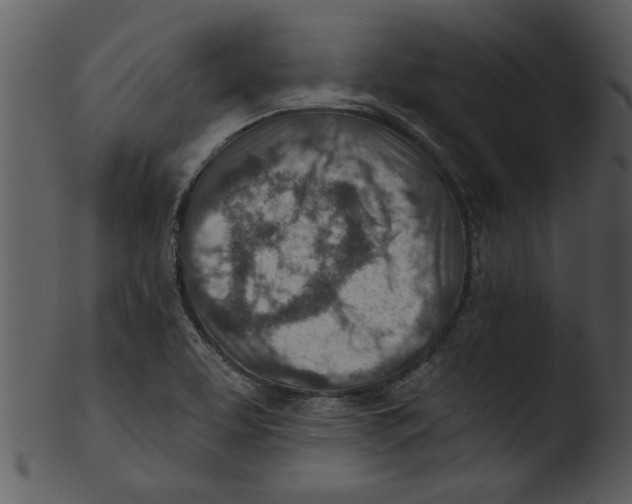 X0000103241463200809251316