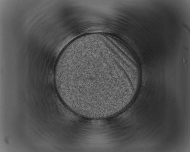 X0000103241465200809251316