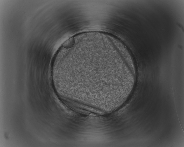 X0000103241469200809251316