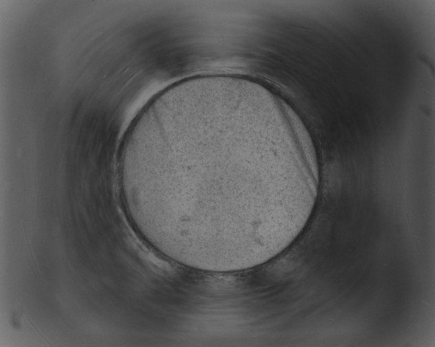 X0000103241470200809251316