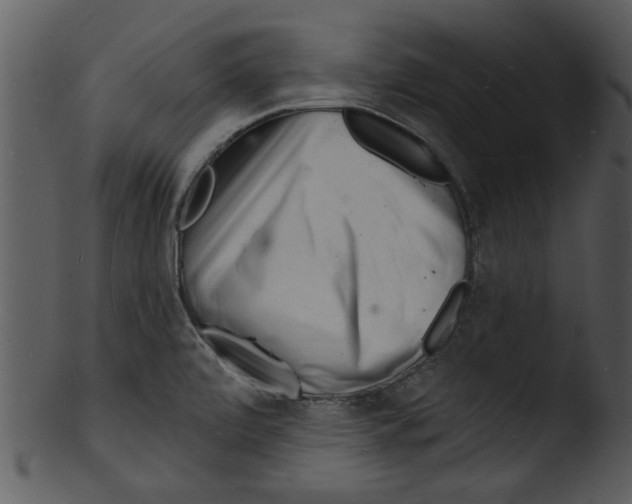 X0000103241472200809251316