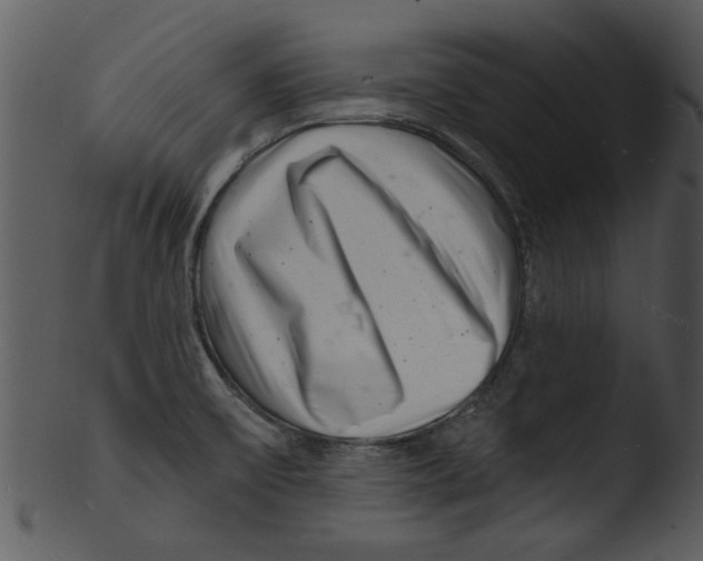 X0000103241475200809251316